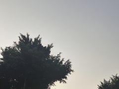-海珠湖公园