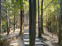-火炉山森林公园