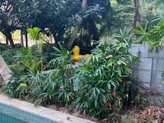 -海南清水湾莱佛士酒店