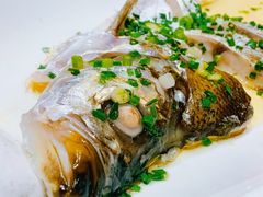 -沪碟·精菜坊(闵行店)