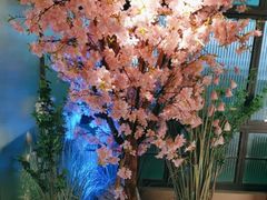 -野妹火锅(龙岗店)