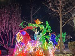 -南宫五洲植物乐园