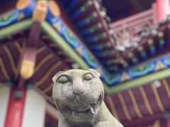 -常德桃花源景区