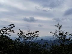 -午潮山国家森林公园