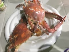 -胖大嫂渔家排档·全海景餐厅(渔村店)