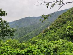 -北京鹫峰国家森林公园