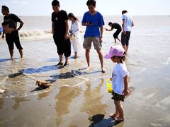 -南汇嘴观海公园