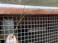 -四季轩中餐厅(徐州开元名都大酒店)