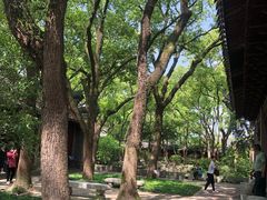-天一阁博物院