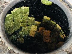 -溪口-滕头旅游景区