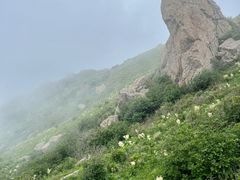 -白草畔自然风景区