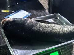-姥家大锅台水库渔家