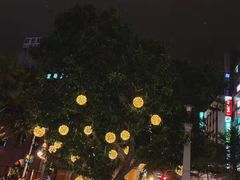 -阿水狮猪脚大王(台中公园店)