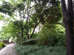 -成都市活水公园