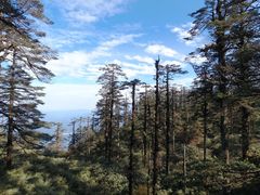 -瓦屋山景区