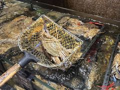 -海鲜e族(马王堆店)