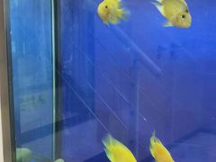 -艾维口腔(春江花月门诊部)