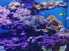 -上海海昌海洋公园