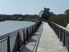 -东寨港红树林旅游区