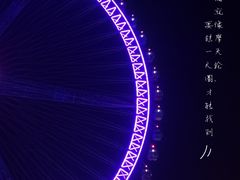 -石狮世茂摩天城摩天轮