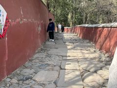 -潭柘寺景区