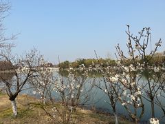 -苏州东太湖生态园