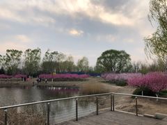 -永定河休闲森林公园