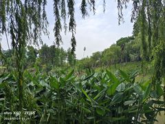 -狼山风景名胜区