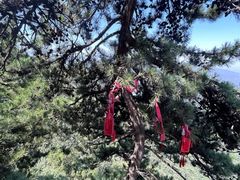 -终南山南五台景区