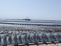 -南汇嘴观海公园