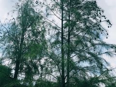 -水濂山森林公园