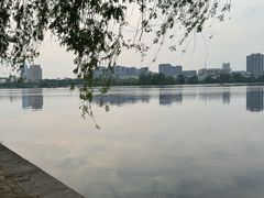 -莫愁湖公园
