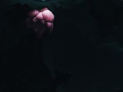 -西湖游船