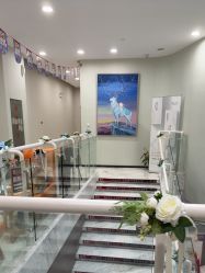 -上海漾颜医疗美容