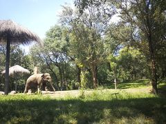 -北京野生动物园