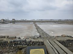 -莺歌海盐场
