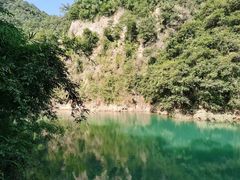 -广州市流溪河国家森林公园