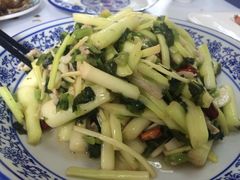 -长兴岛郊野公园农场食堂
