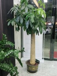 点击看大图 -痘院士专业祛痘皮肤管理