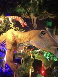 -恐龙探索乐园(磁器口店)