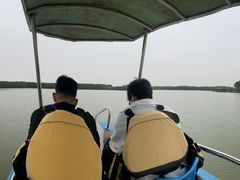 -上海海湾国家森林公园