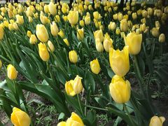 -长春公园(普阳街道)