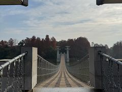 -东湖落雁景区