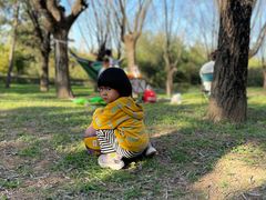 -洨河生态公园