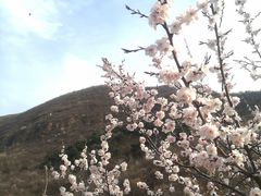 -定都阁