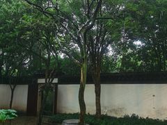 -秋霞圃