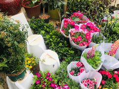 -金陵花卉交易市场