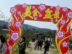 -香雪海