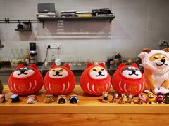 -柴务处·柴犬主题狗咖