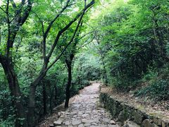 -缥缈峰景区